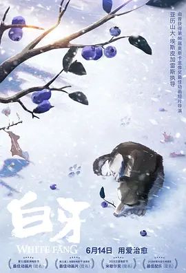 成人欧美精品大91在线